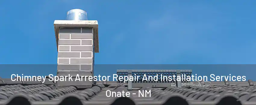Chimney Spark Arrestor Repair And Installation Services Onate - NM