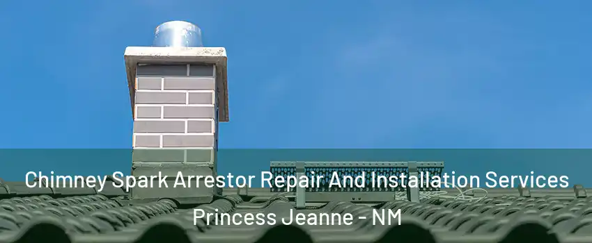 Chimney Spark Arrestor Repair And Installation Services Princess Jeanne - NM