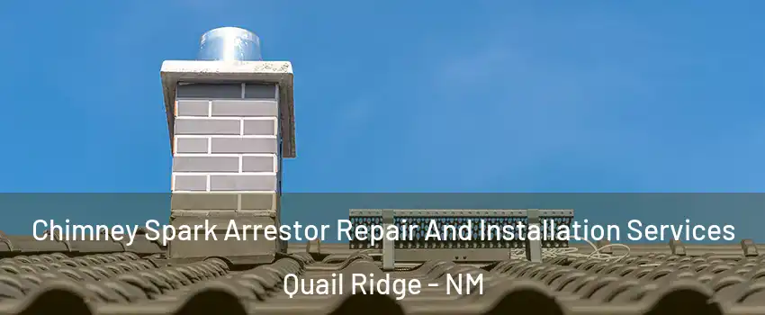 Chimney Spark Arrestor Repair And Installation Services Quail Ridge - NM