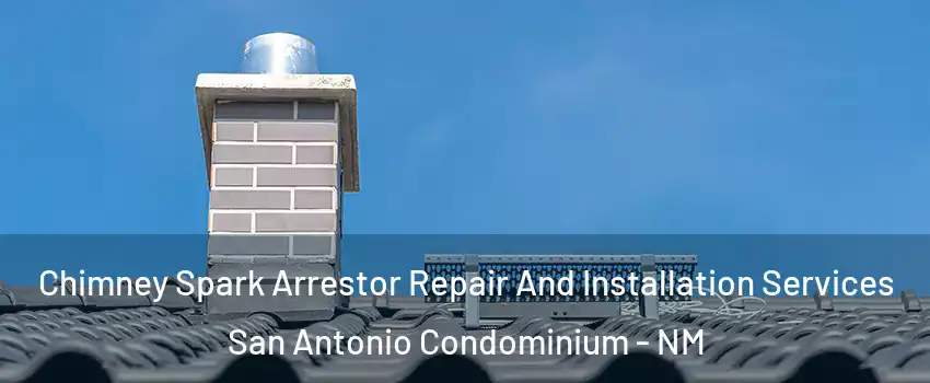 Chimney Spark Arrestor Repair And Installation Services San Antonio Condominium - NM