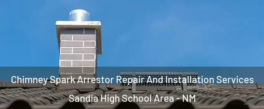 Chimney Spark Arrestor Repair And Installation Services Sandia High School Area - NM