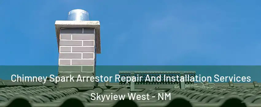 Chimney Spark Arrestor Repair And Installation Services Skyview West - NM