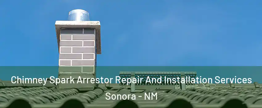 Chimney Spark Arrestor Repair And Installation Services Sonora - NM