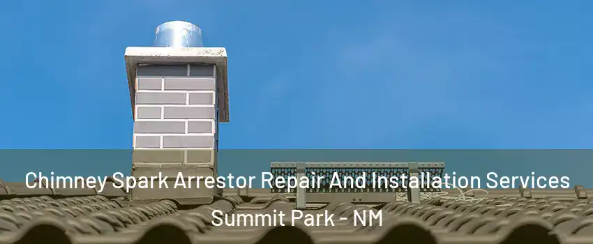 Chimney Spark Arrestor Repair And Installation Services Summit Park - NM