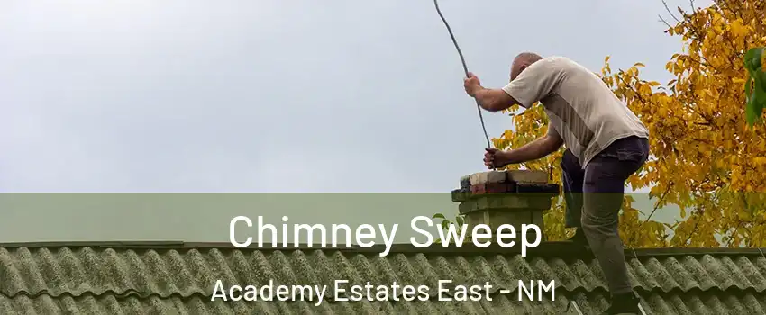 Chimney Sweep Academy Estates East - NM