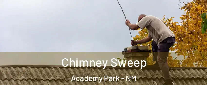Chimney Sweep Academy Park - NM
