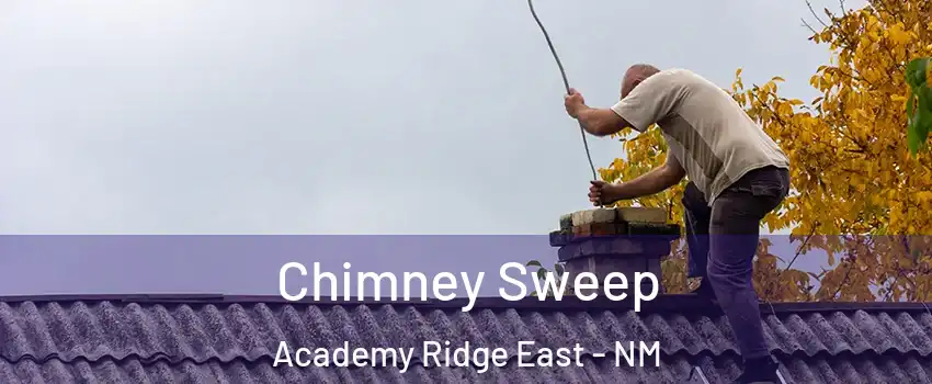 Chimney Sweep Academy Ridge East - NM