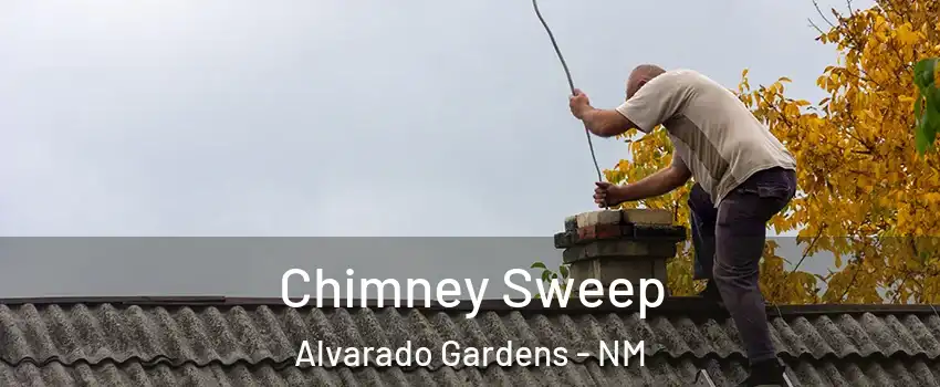 Chimney Sweep Alvarado Gardens - NM