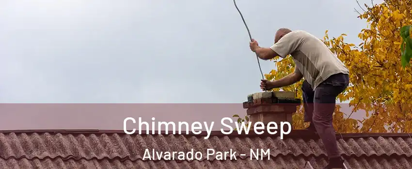 Chimney Sweep Alvarado Park - NM