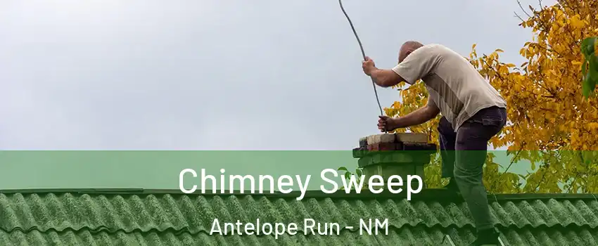 Chimney Sweep Antelope Run - NM