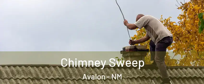 Chimney Sweep Avalon - NM