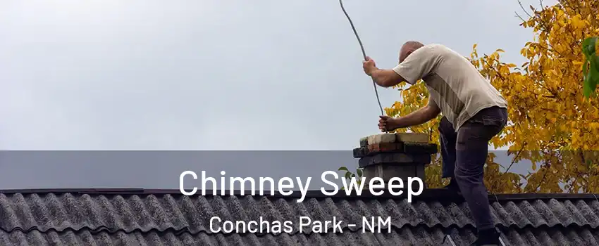 Chimney Sweep Conchas Park - NM