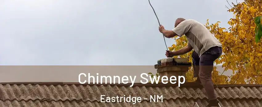 Chimney Sweep Eastridge - NM