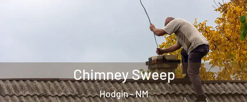 Chimney Sweep Hodgin - NM
