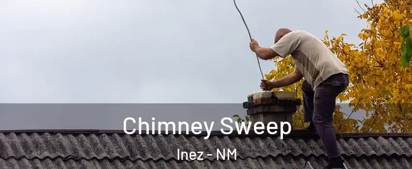 Chimney Sweep Inez - NM
