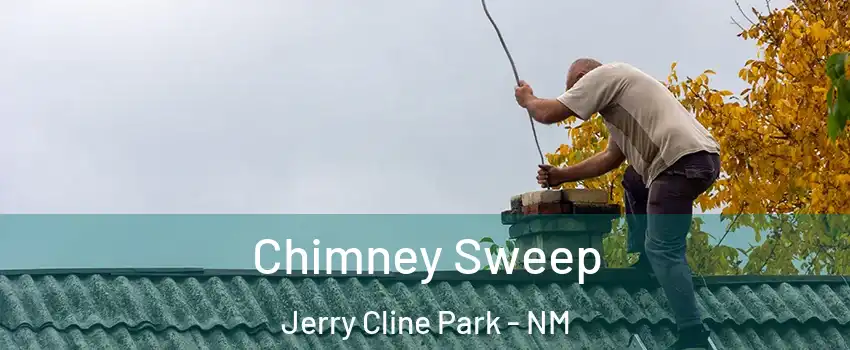 Chimney Sweep Jerry Cline Park - NM