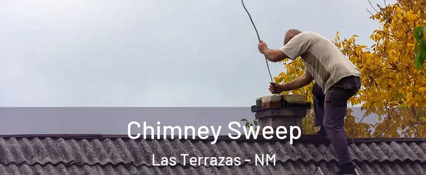 Chimney Sweep Las Terrazas - NM