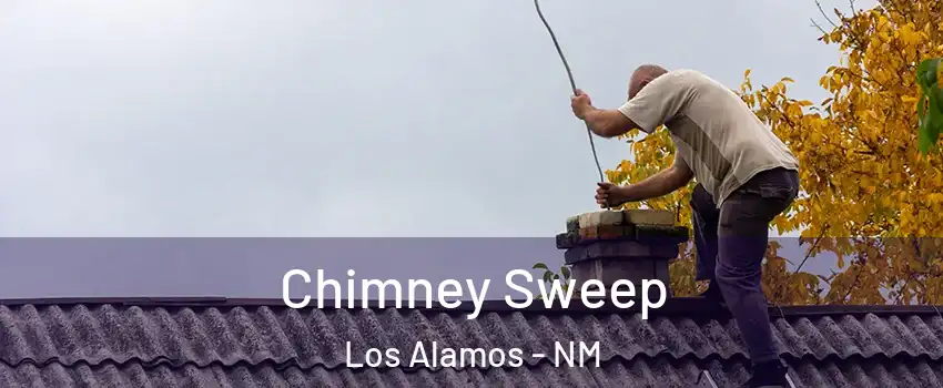 Chimney Sweep Los Alamos - NM