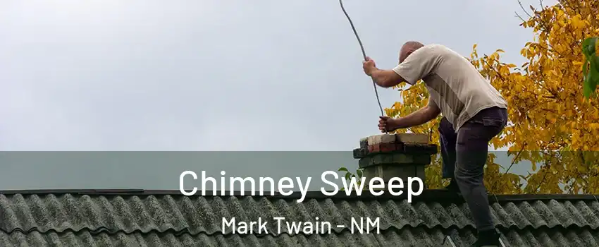 Chimney Sweep Mark Twain - NM
