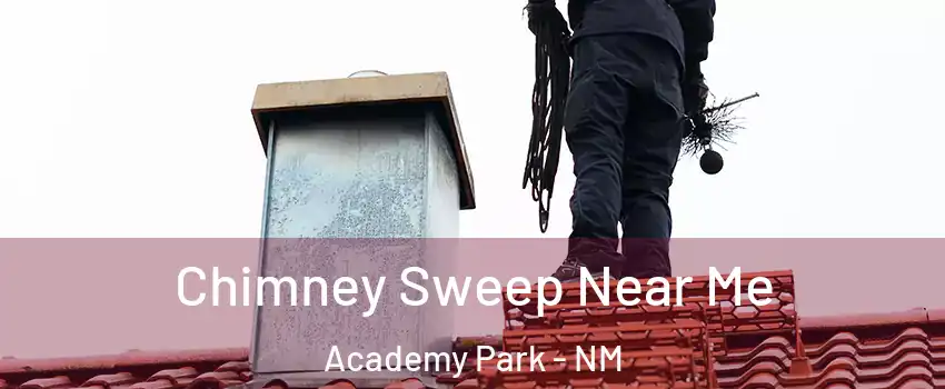 Chimney Sweep Near Me Academy Park - NM
