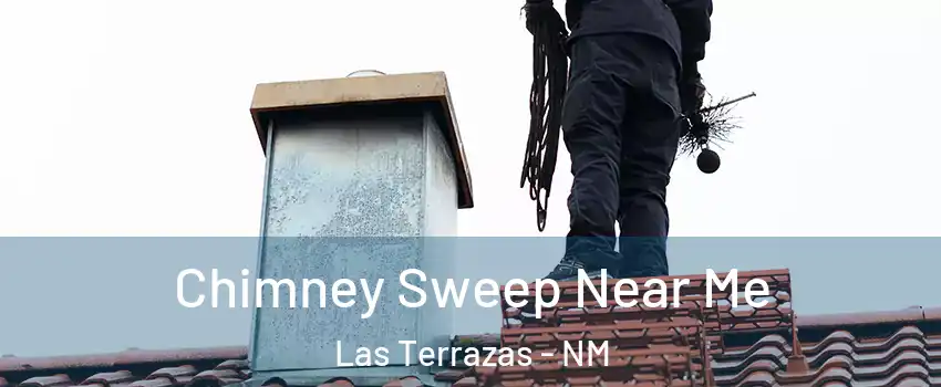 Chimney Sweep Near Me Las Terrazas - NM