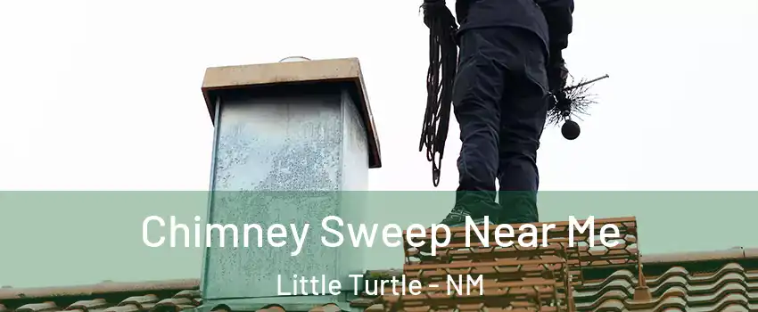 Chimney Sweep Near Me Little Turtle - NM