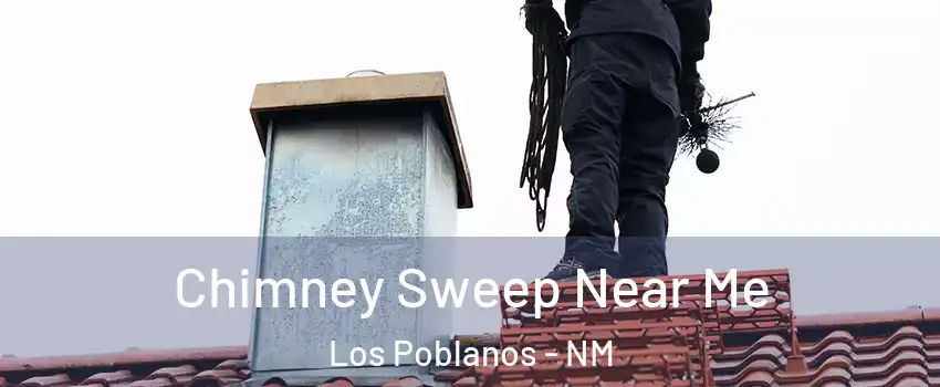 Chimney Sweep Near Me Los Poblanos - NM