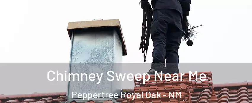 Chimney Sweep Near Me Peppertree Royal Oak - NM