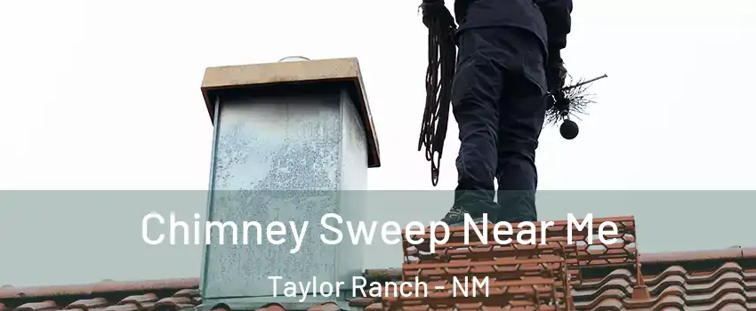 Chimney Sweep Near Me Taylor Ranch - NM