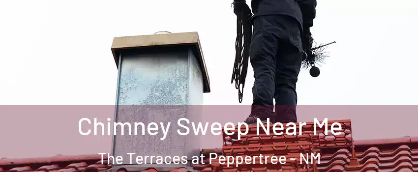 Chimney Sweep Near Me The Terraces at Peppertree - NM