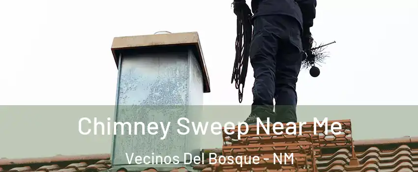 Chimney Sweep Near Me Vecinos Del Bosque - NM