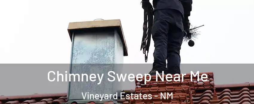 Chimney Sweep Near Me Vineyard Estates - NM