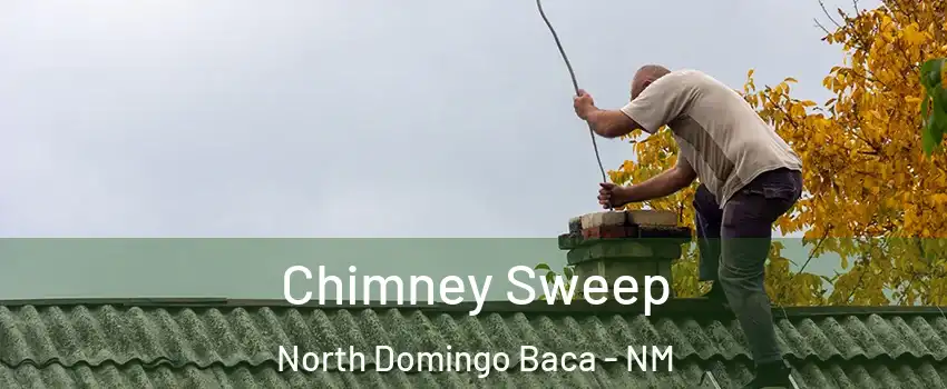 Chimney Sweep North Domingo Baca - NM