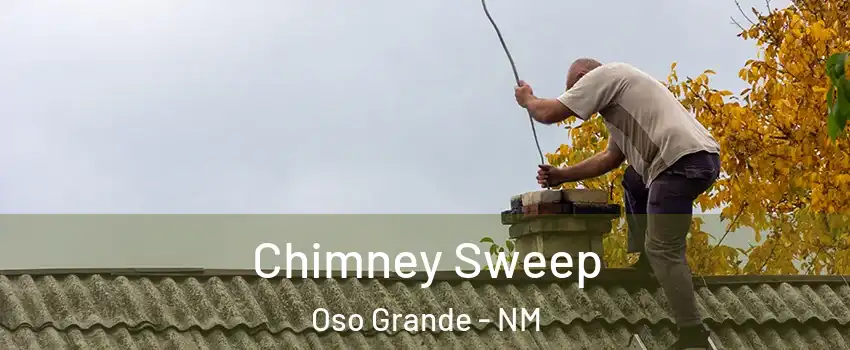 Chimney Sweep Oso Grande - NM