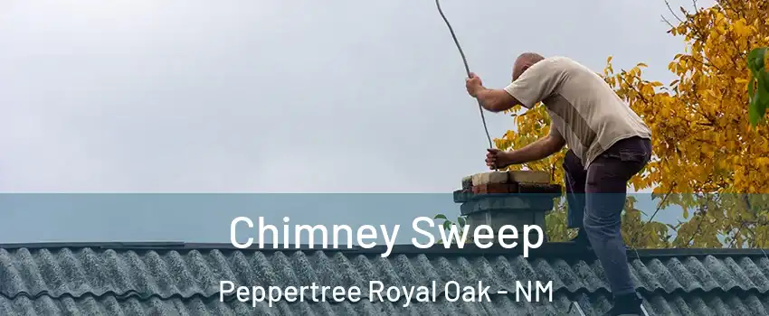 Chimney Sweep Peppertree Royal Oak - NM