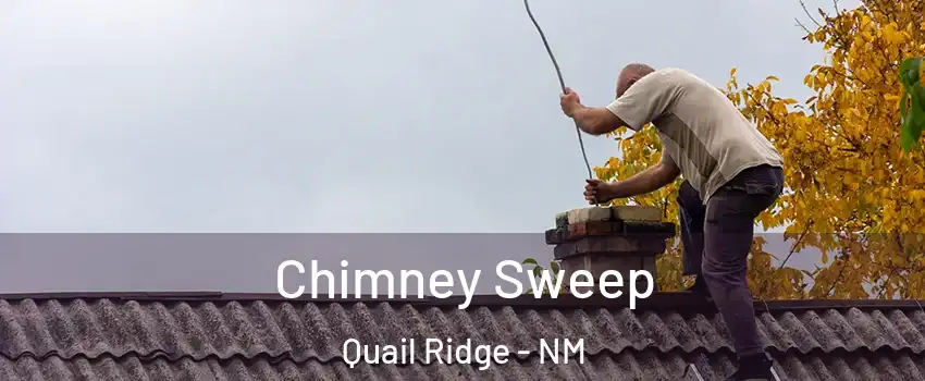 Chimney Sweep Quail Ridge - NM
