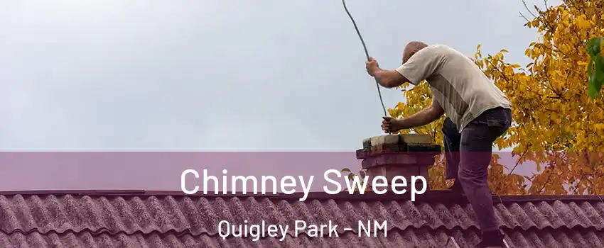 Chimney Sweep Quigley Park - NM