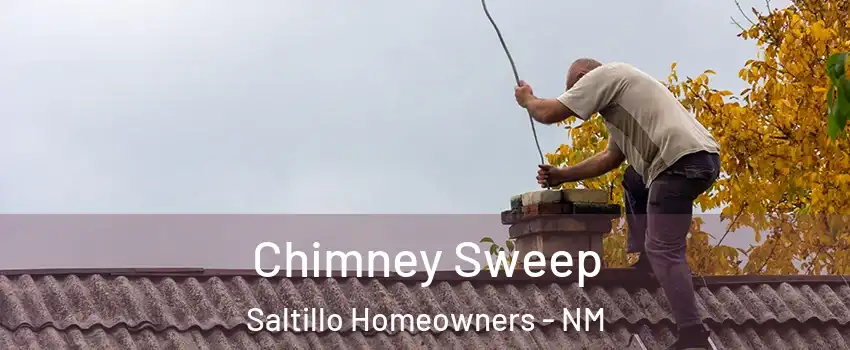 Chimney Sweep Saltillo Homeowners - NM