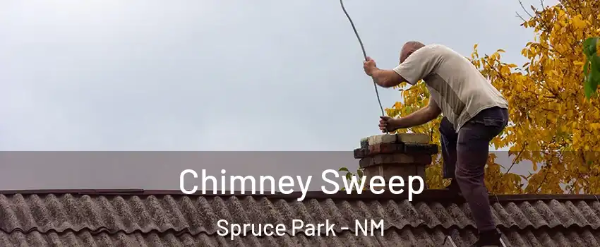 Chimney Sweep Spruce Park - NM