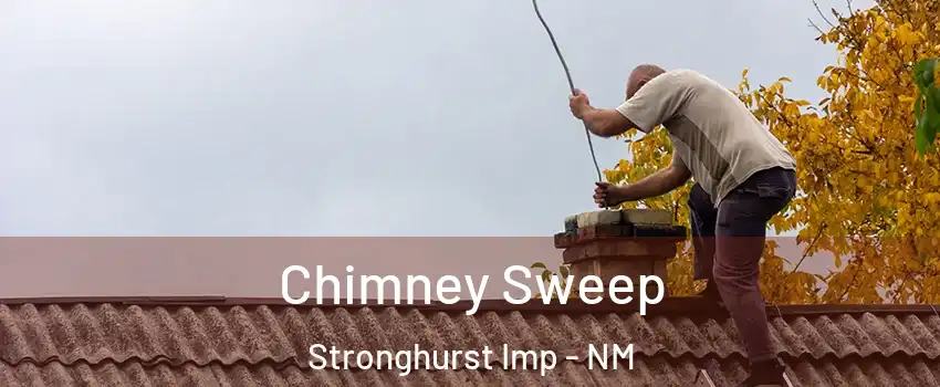 Chimney Sweep Stronghurst Imp - NM