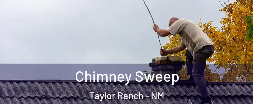 Chimney Sweep Taylor Ranch - NM