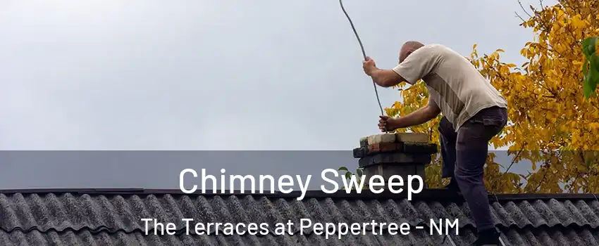 Chimney Sweep The Terraces at Peppertree - NM
