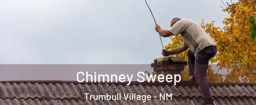 Chimney Sweep Trumbull Village - NM