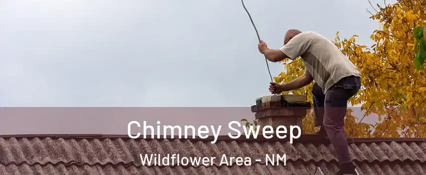 Chimney Sweep Wildflower Area - NM