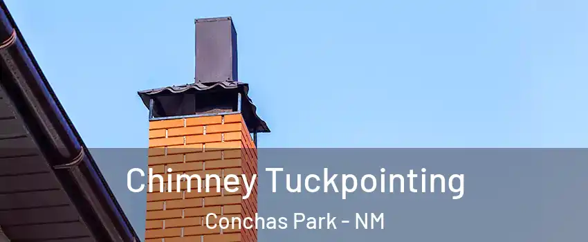 Chimney Tuckpointing Conchas Park - NM