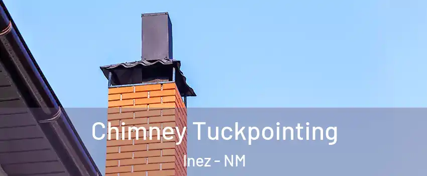 Chimney Tuckpointing Inez - NM