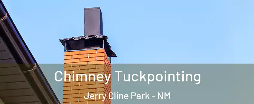Chimney Tuckpointing Jerry Cline Park - NM
