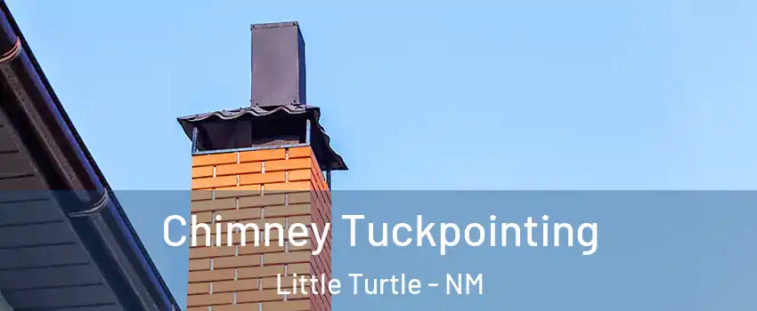 Chimney Tuckpointing Little Turtle - NM