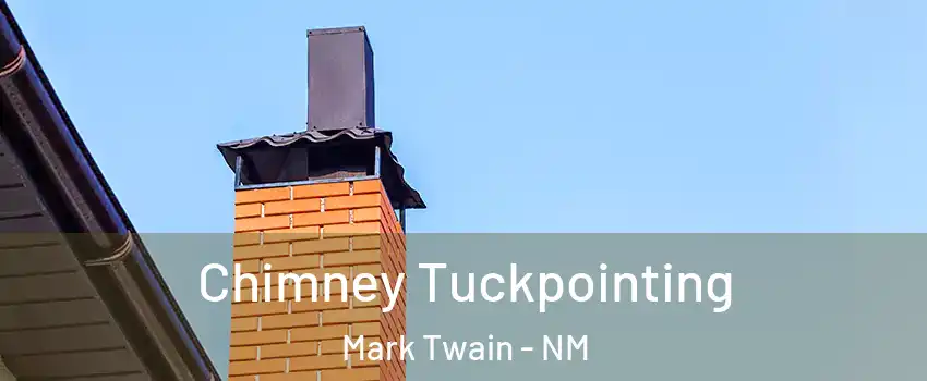 Chimney Tuckpointing Mark Twain - NM