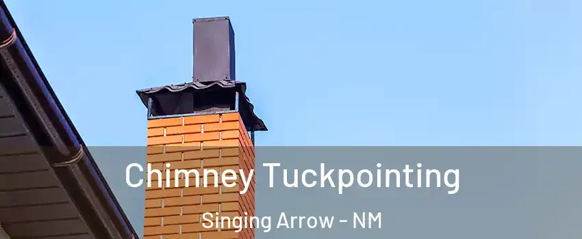Chimney Tuckpointing Singing Arrow - NM